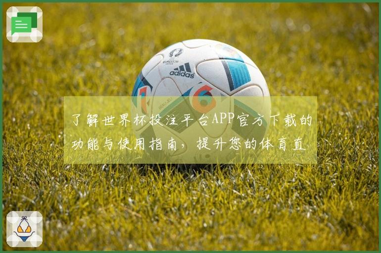 了解世界杯投注平台APP官方下载的功能与使用指南，提升您的体育直播体验