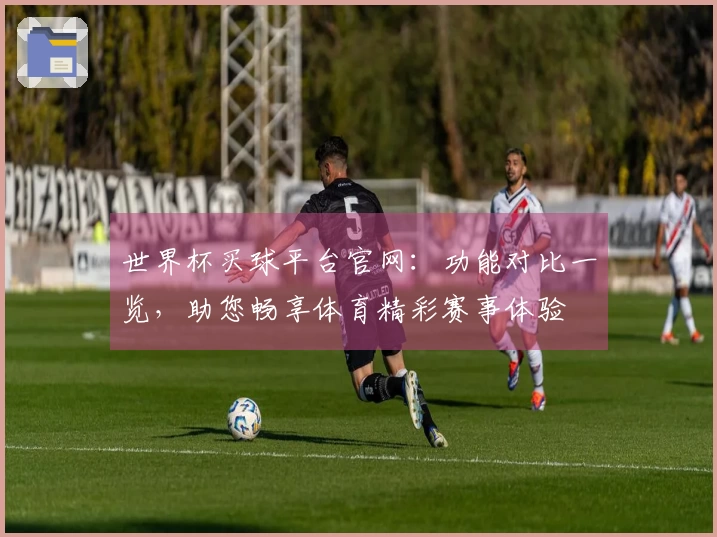 世界杯买球平台官网：功能对比一览，助您畅享体育精彩赛事体验