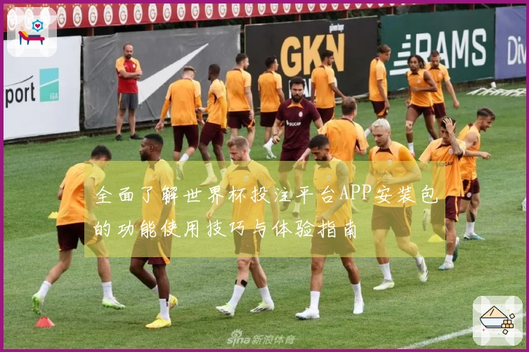 全面了解世界杯投注平台APP安装包的功能使用技巧与体验指南