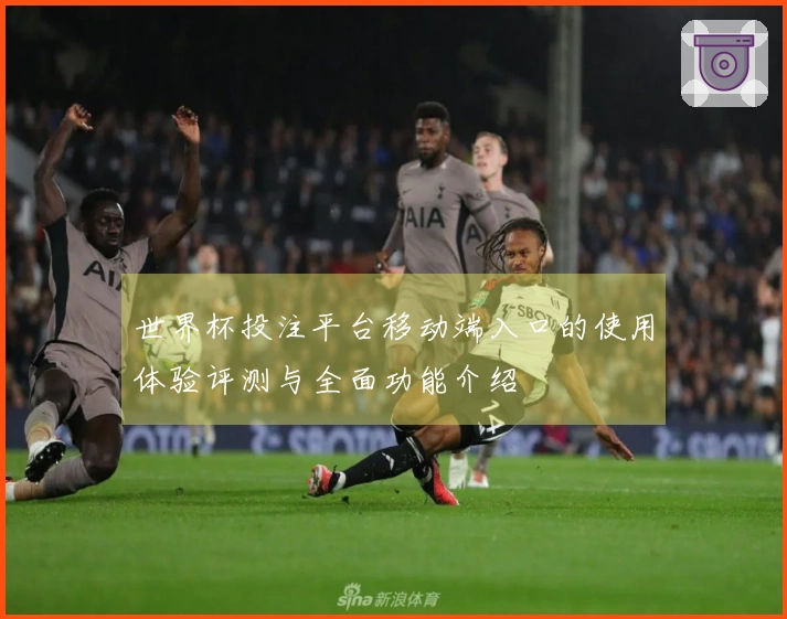 世界杯投注平台移动端入口的使用体验评测与全面功能介绍