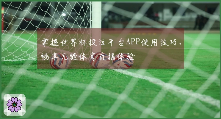 掌握世界杯投注平台APP使用技巧，畅享无缝体育直播体验
