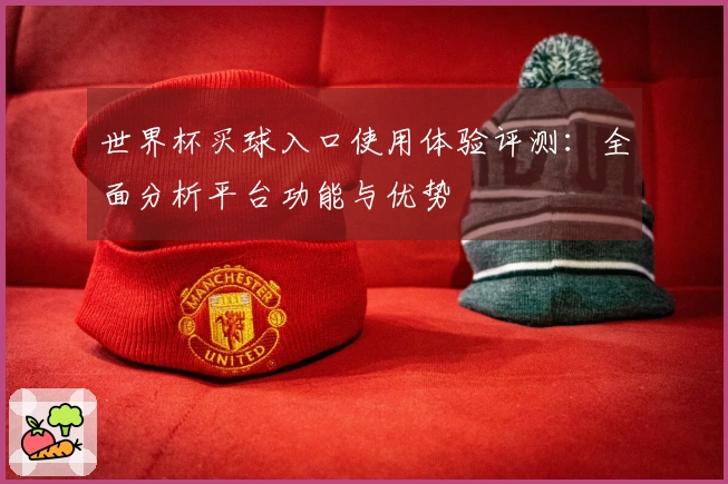 世界杯买球入口使用体验评测:全面分析平台功能与优势