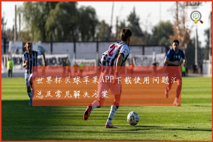 世界杯买球苹果APP下载使用问题汇总及常见解决方案 안내