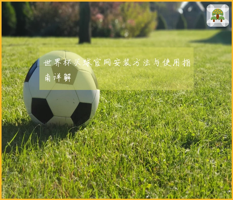 世界杯买球官网安装方法与使用指南详解