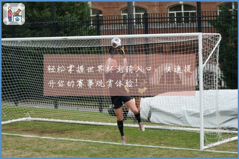 轻松掌握世界杯竞猜入口，快速提升你的赛事观赏体验！
