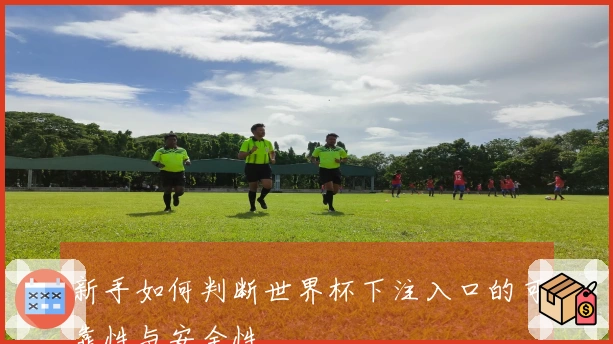 新手如何判断世界杯下注入口的可靠性与安全性