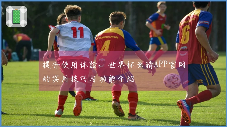提升使用体验，世界杯竞猜APP官网的实用技巧与功能介绍