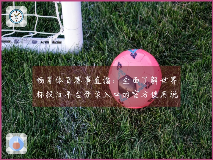 畅享体育赛事直播,全面了解世界杯投注平台登录入口的官方使用说明