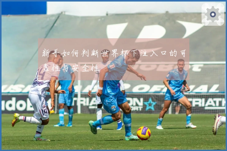 新手如何判断世界杯下注入口的可靠性与安全性