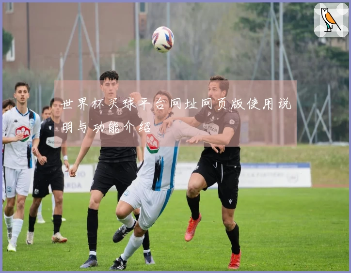 世界杯买球平台网址网页版使用说明与功能介绍