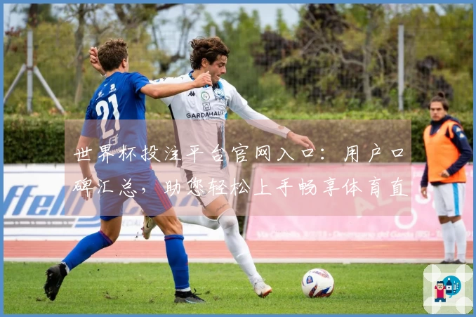 世界杯投注平台官网入口：用户口碑汇总，助您轻松上手畅享体育直播